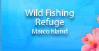 Wild Fishing